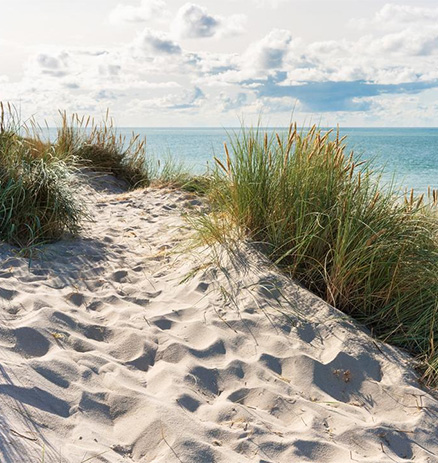 Heiraten in D&auml;nemark Heiraten auf &AElig;r&oslash;